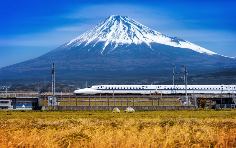 亚马逊日本站好做吗？亚马逊日本站入驻条件及要求介绍