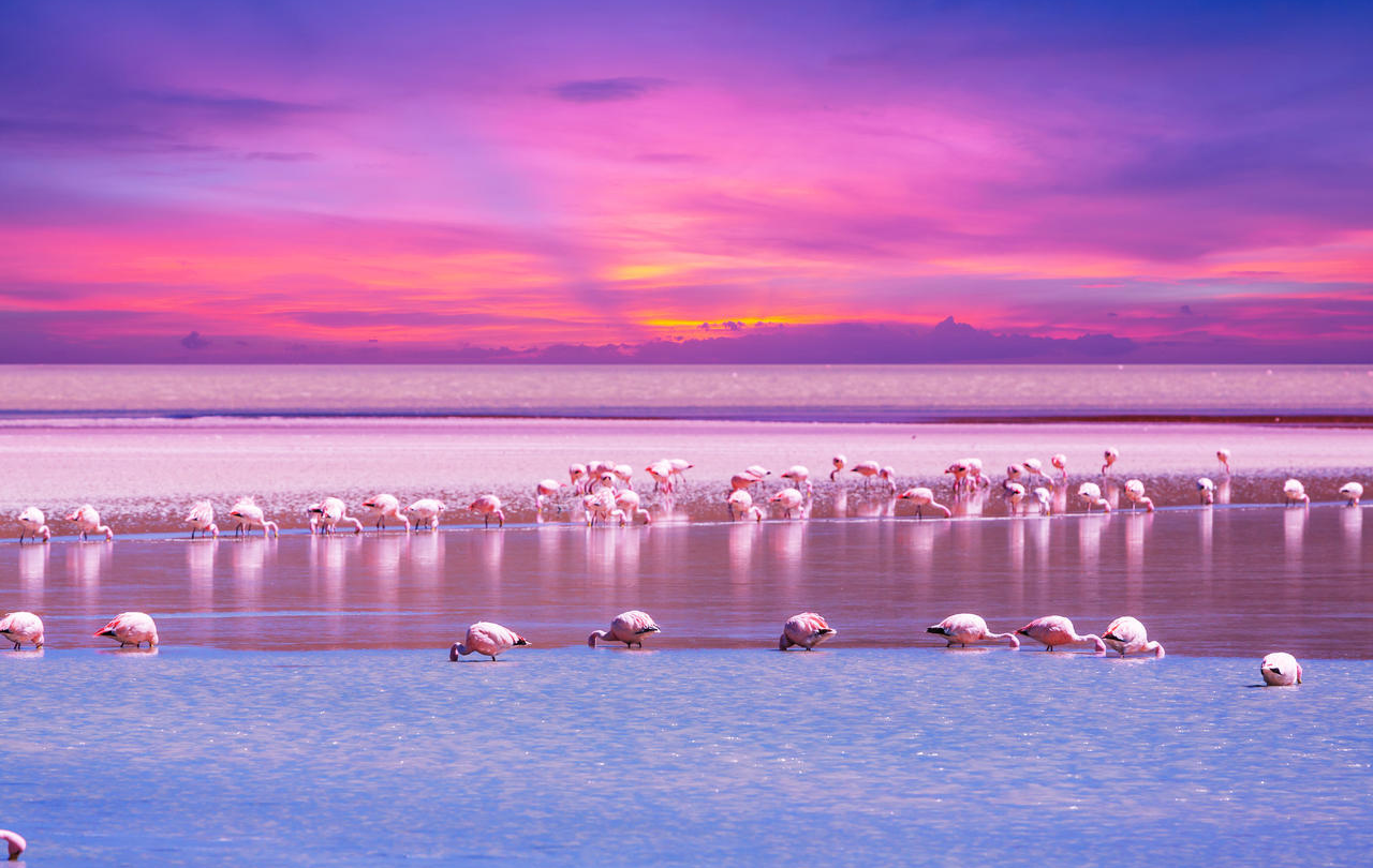 南美洲玻利维亚市场开发攻略