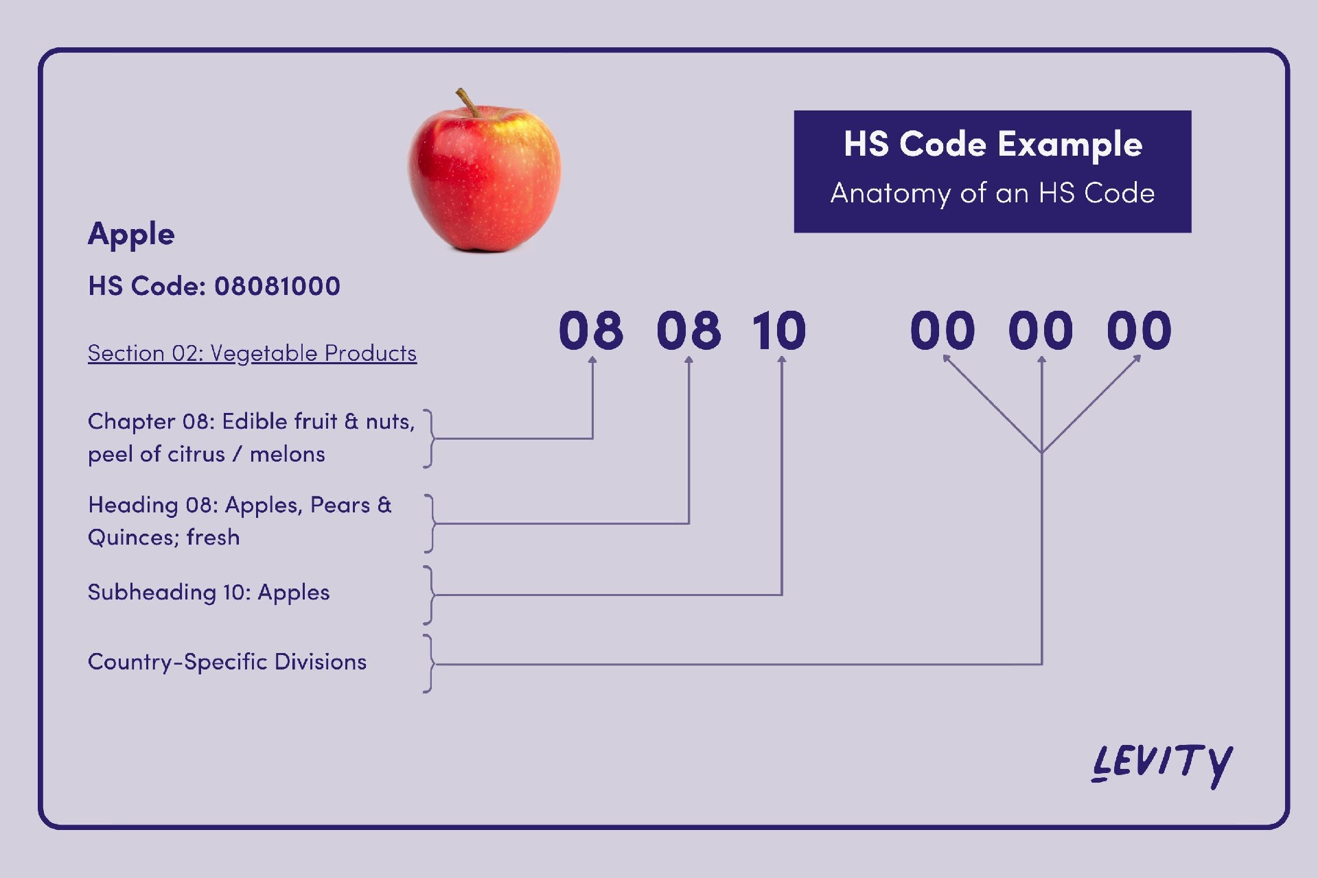 海关编码hs code是什么?亚马逊海关编码怎么找?