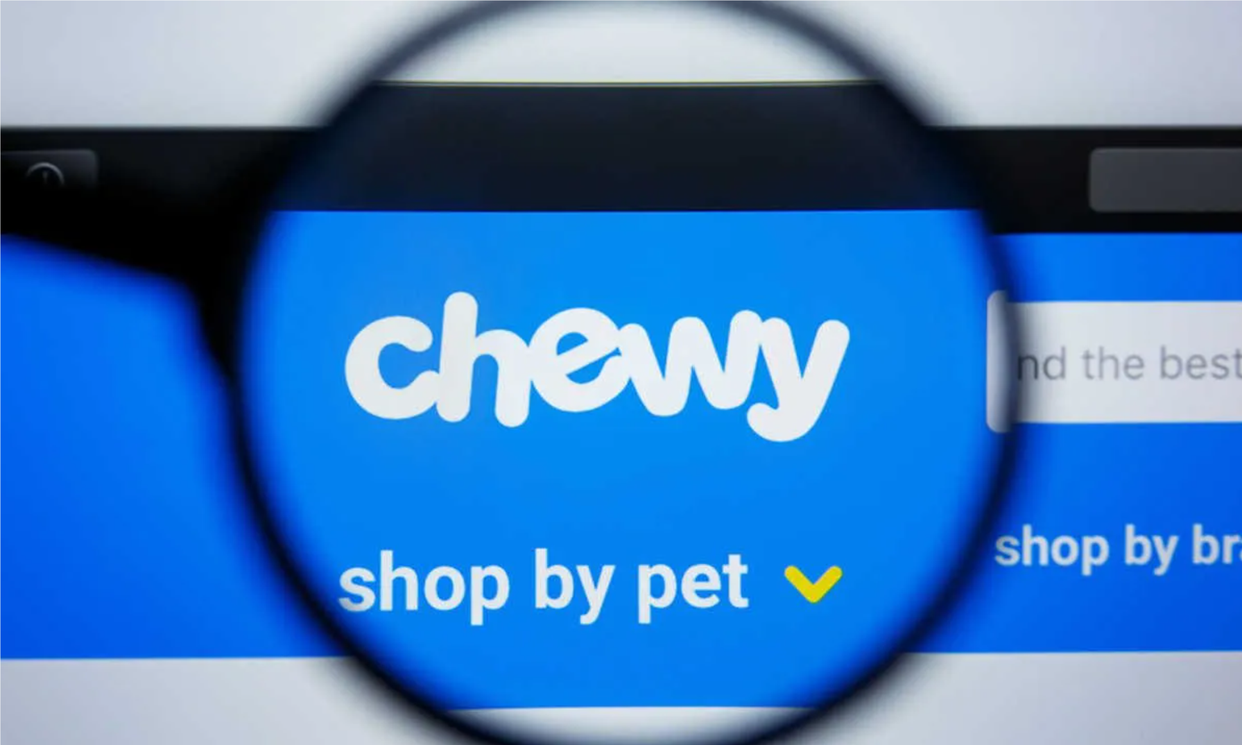 chewy2.png