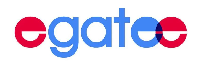 非洲B2B电商平台Egatee深度解析：掘金蓝海市场的“黄金跳板”