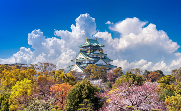 日本拟取消个人进口税收优惠,跨境电商受冲击