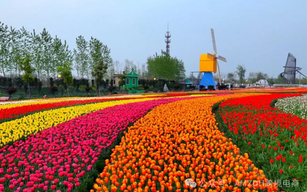 2026 年起,中国跨境包裹寄荷兰要多花 6 欧!