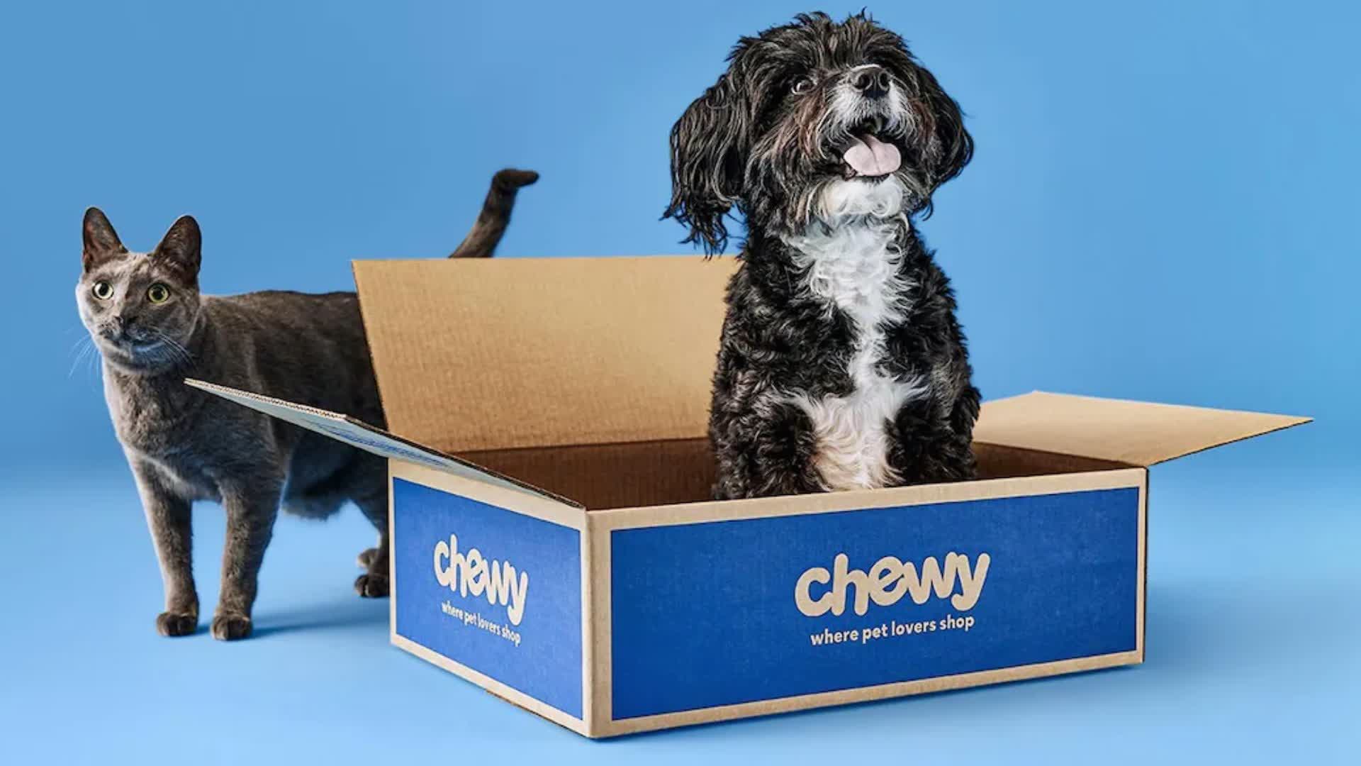 chewy-1.jpg