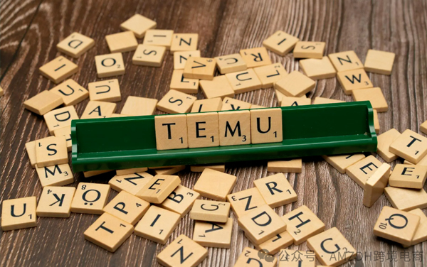 德国对Temu展开反垄断调查，定价机制受关注